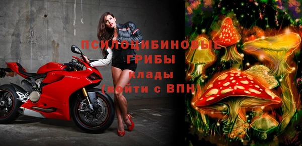 спиды Майский