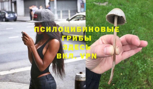 спиды Майский