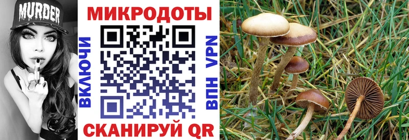 Галлюциногенные грибы прущие грибы Юхнов